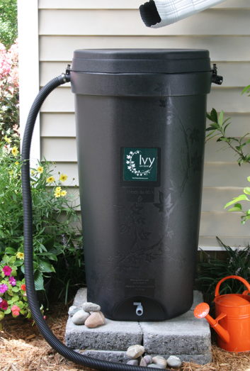 Photo of Ivy Rain Barrel in Residential Use